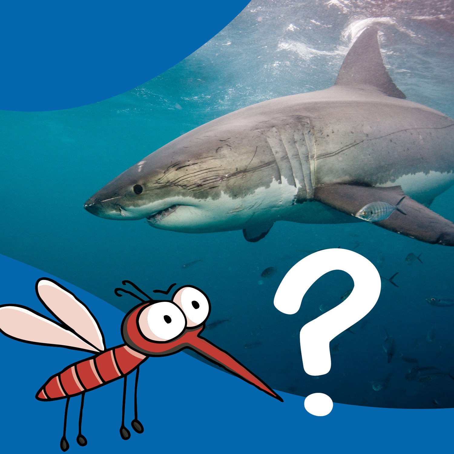 Hai und Fische im Meer.