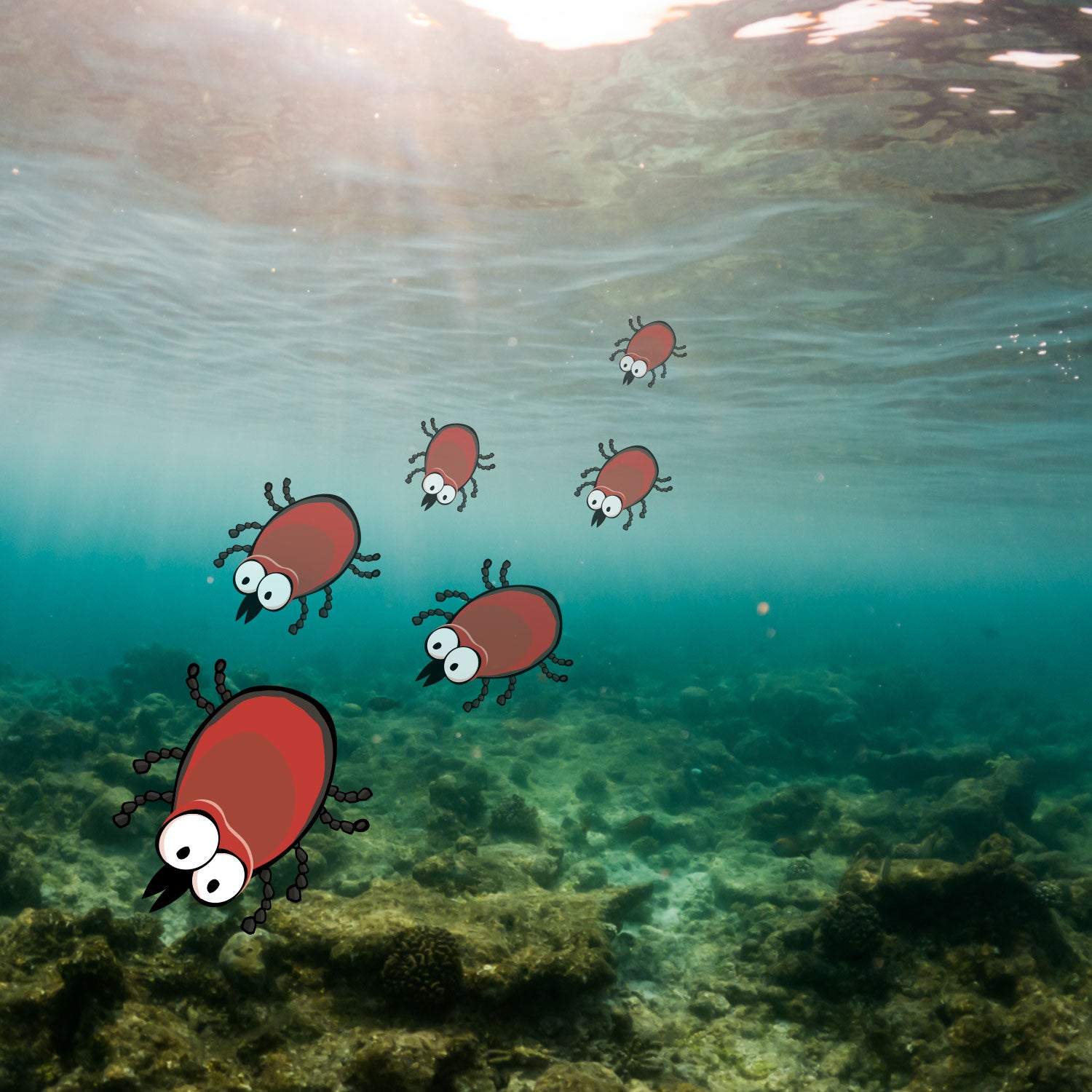 Bildmontage von Zecken unter dem Meeresspiegel.